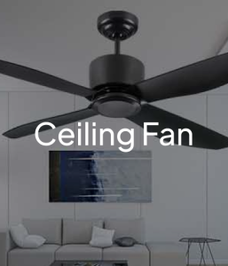Ceiling Fan