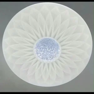 802-1603 D500 48W 3 in 1